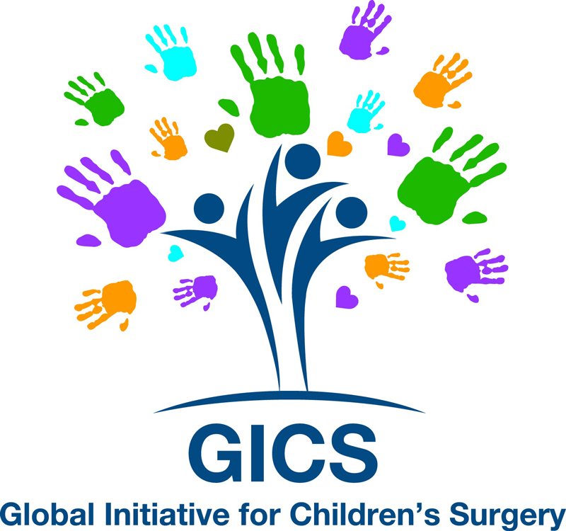 GCIS Logo